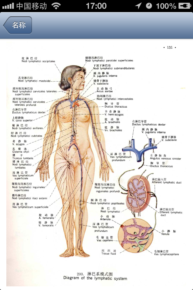 人体解剖图谱+-+iphone限时免费软件游戏